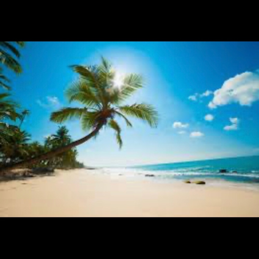 Meet your Posher, Katina